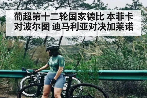 葡超第十二轮国家德比 本菲卡对波尔图 迪马利亚对决加莱诺